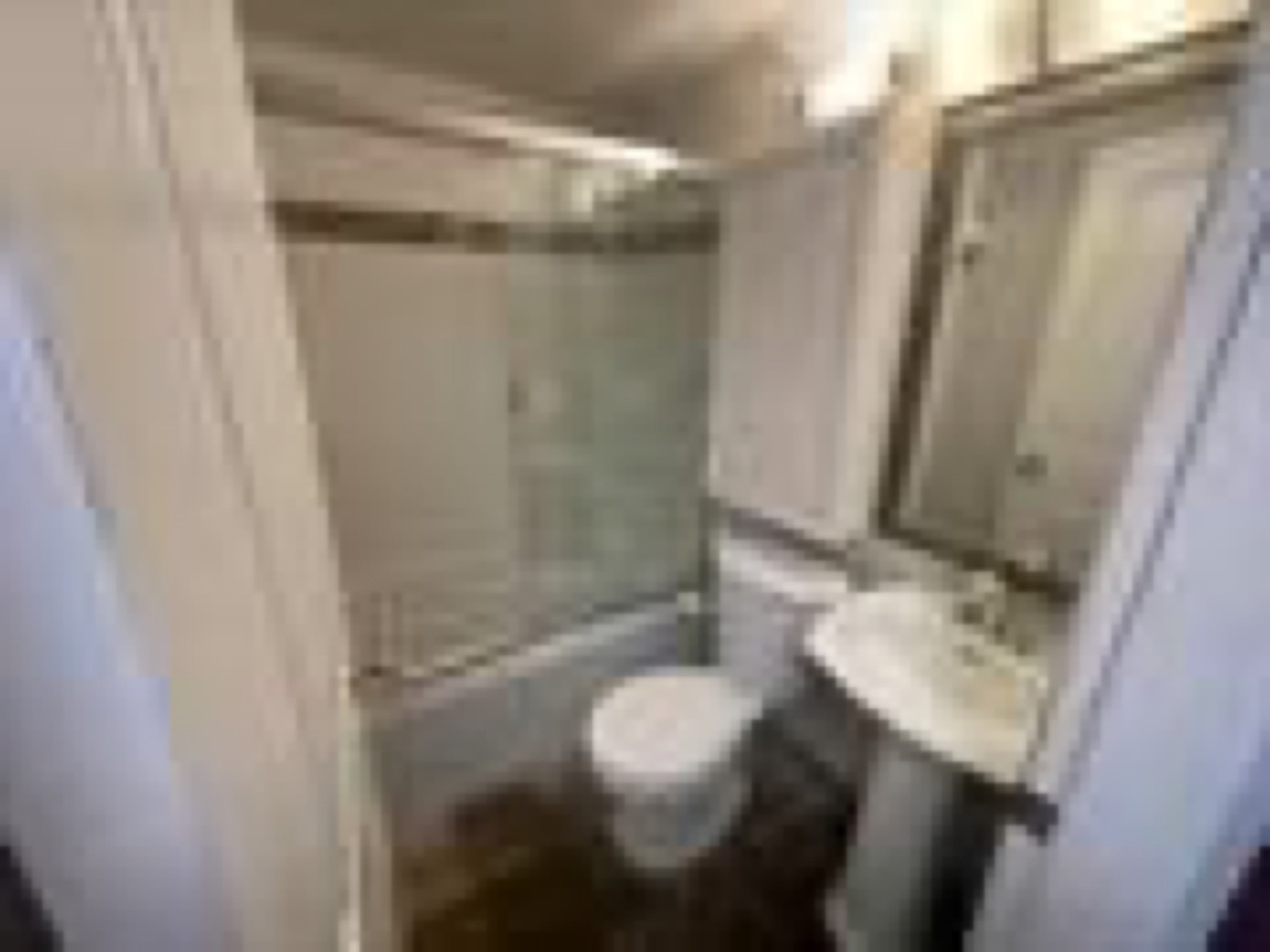 4585 Commercial Street — $1,500 Basement Suite, photo 3
